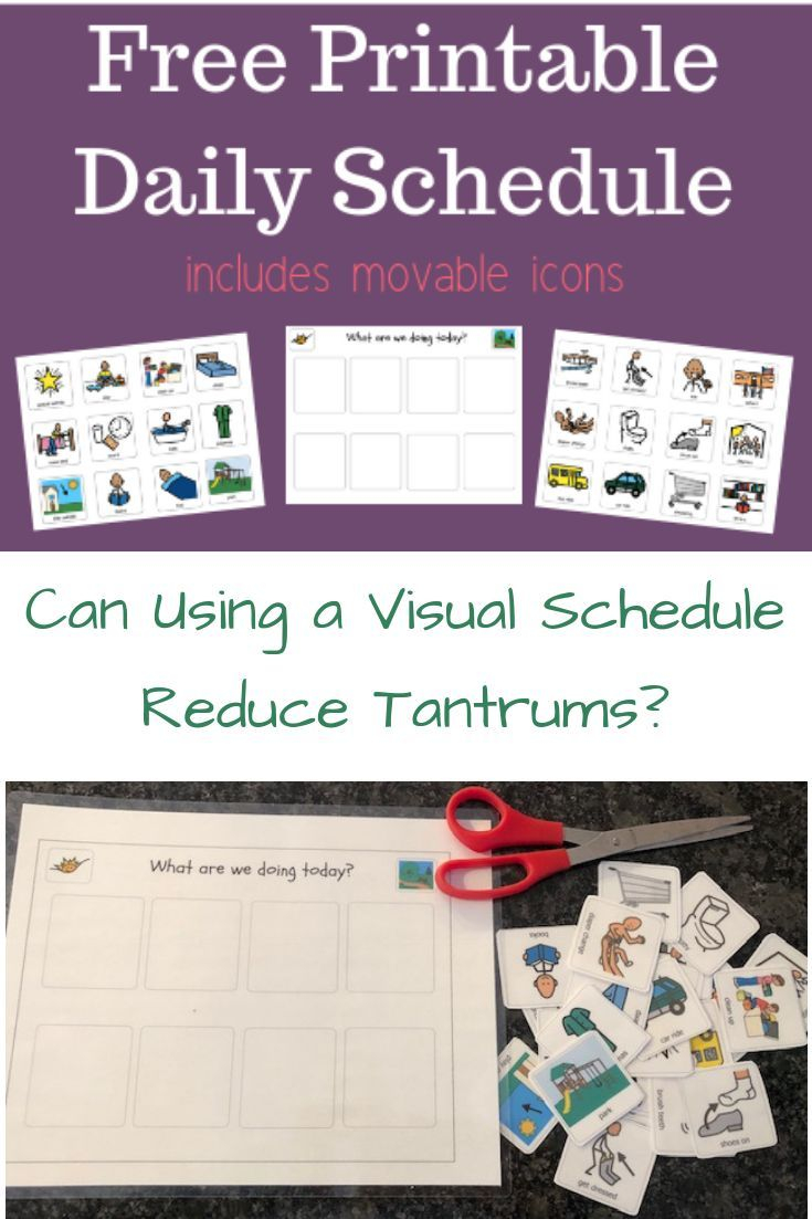 Toddler Visual Schedule With Movable Icons Free Printable 