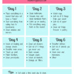 Weekly Cleaning Schedule 6 Day Planner Printable