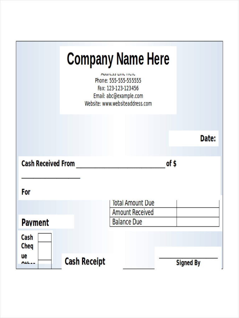 FREE 8 Cash Receipt Examples Samples In Google Docs