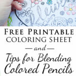 Free Printable Adult Coloring Pages Tips For Blending Colors