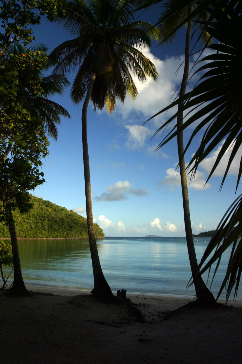 Maho Bay St John Life