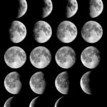 The Moon S Phases In Oreos NASA Space Place NASA