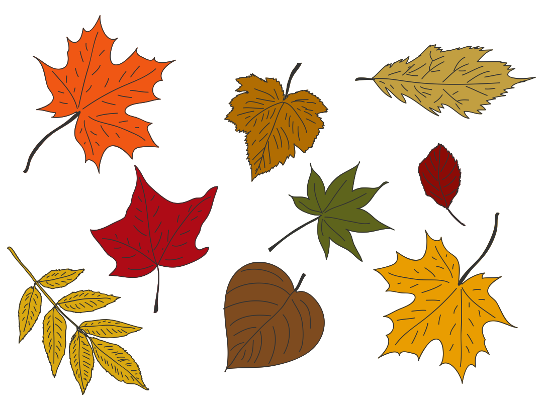 5 Best Fall Leaves Printables Printablee