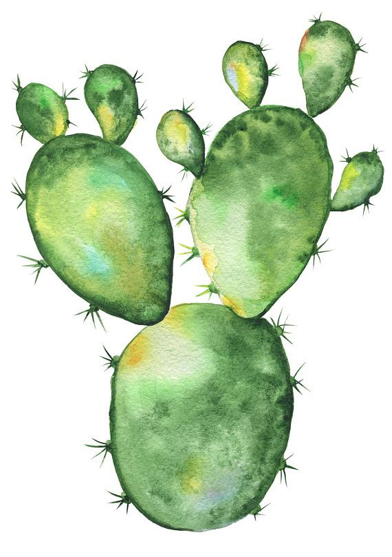 Cactus Watercolor Clipart 20 Free Cliparts Download 