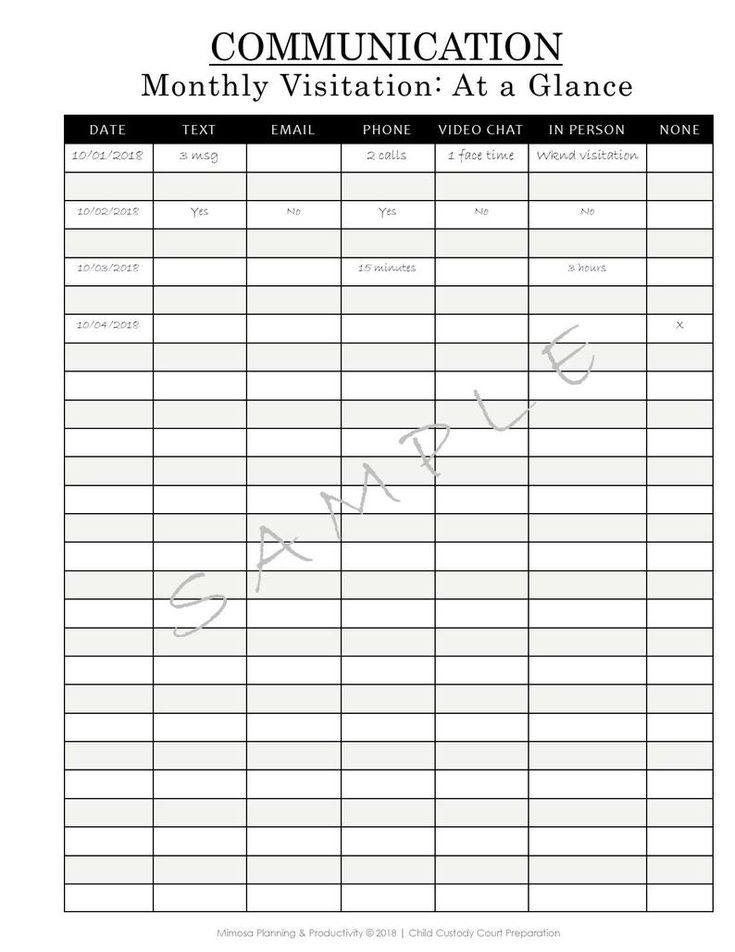 Child Custody Planner Court Planner Co parenting
