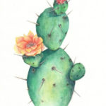 Einzelne Kaktus Aquarell Kaktus Illustration Kaktus