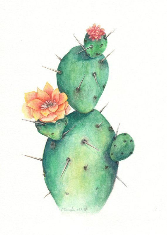 Einzelne Kaktus Aquarell Kaktus Illustration Kaktus 