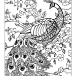 Free Printables Peacock Coloring Page
