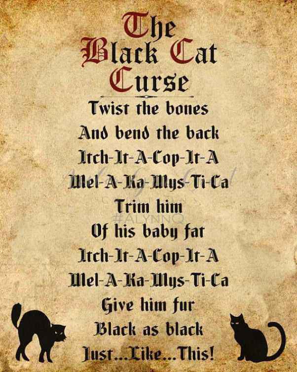 Hocus Pocus Black Cat Curse DIY Printable Halloween 