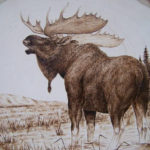Moose Pyrography Bull Moose By Adam Owen Wood Burning
