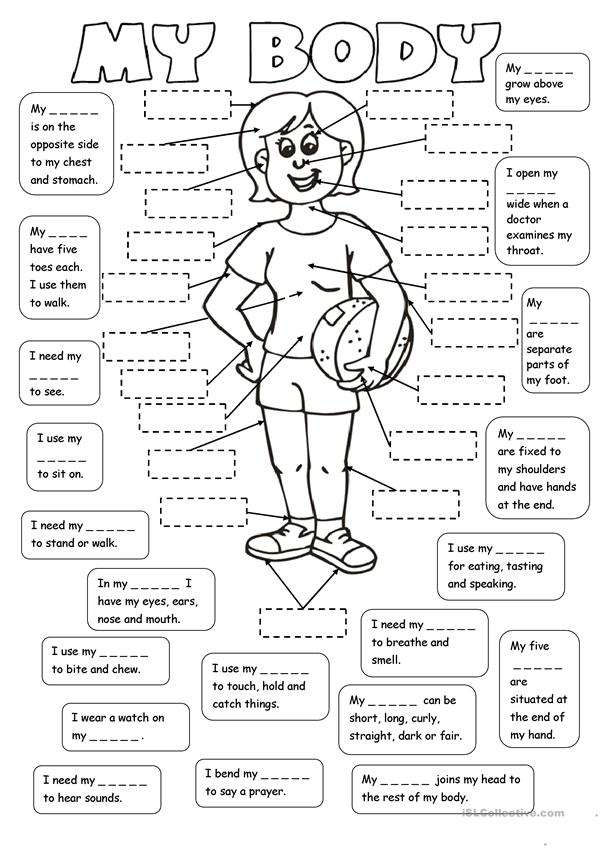 My Body 2 Tasks Worksheet Free ESL Printable 