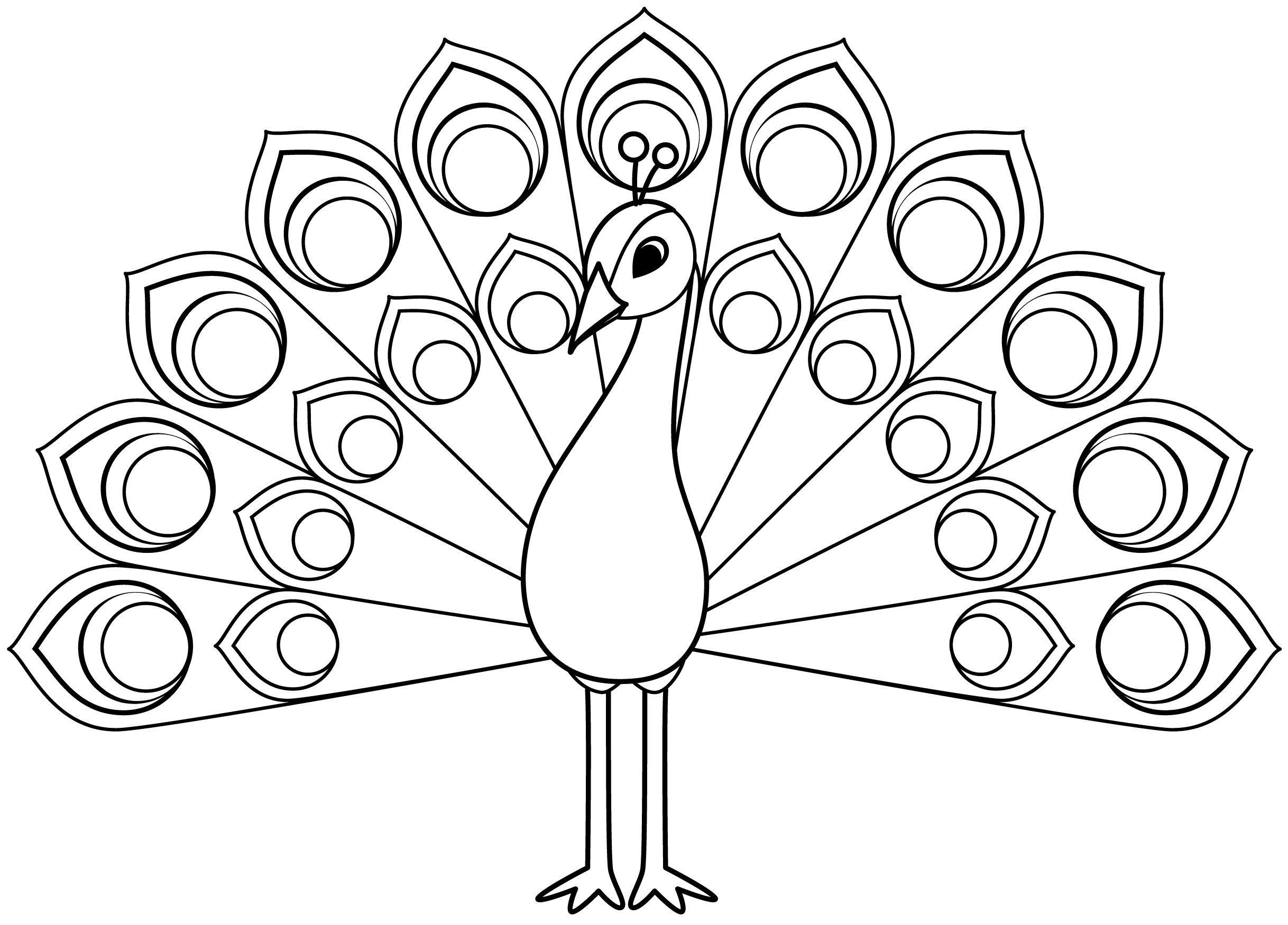 Peacock Printable Template Free Printable Papercraft 