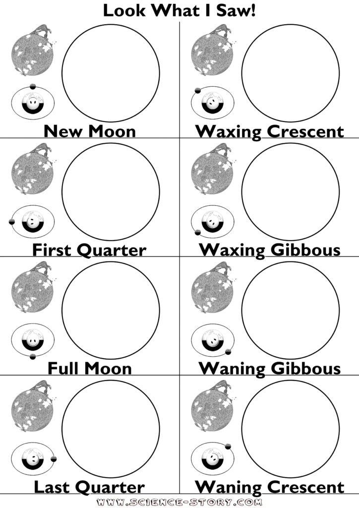 Phases Of The Moon With Oreos Worksheet New Calendar