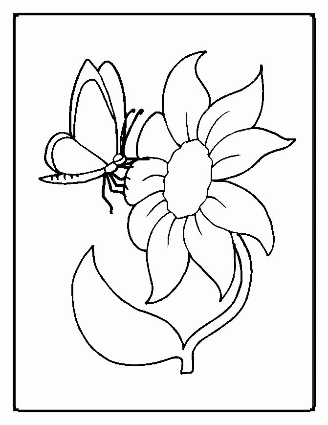 Printable Flower Coloring Sheets Coloring Home