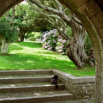 St Michael S Mount Gardens Cornwall England 2 Of 19