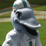 T D DOLPHIN MASCOT Miami Dolphins Mascot T D The