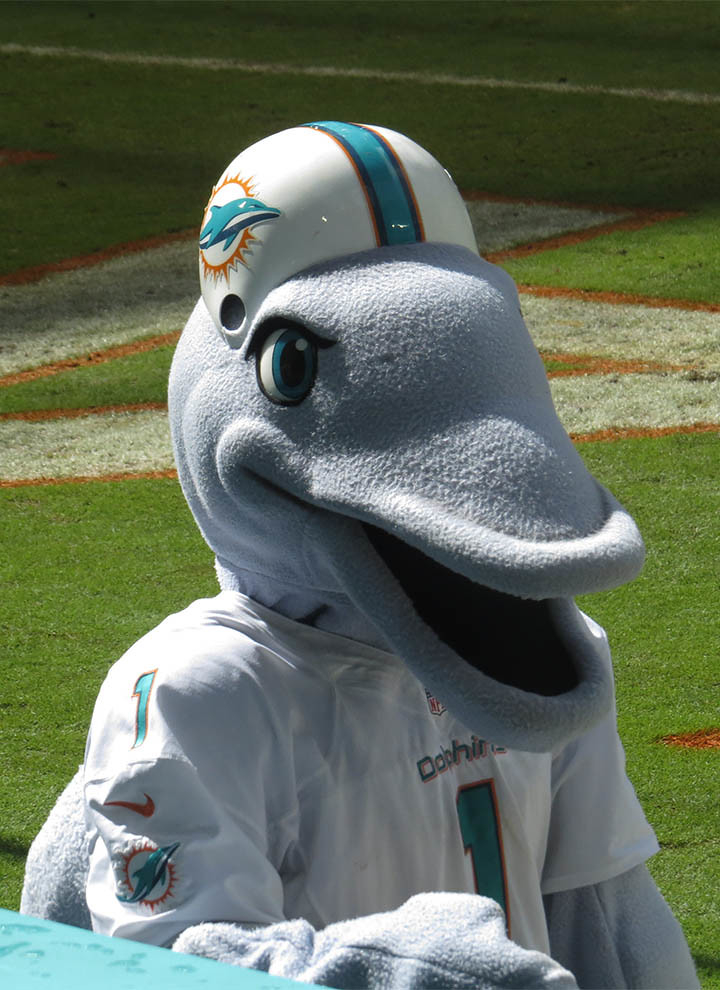 T D DOLPHIN MASCOT Miami Dolphins Mascot T D The 