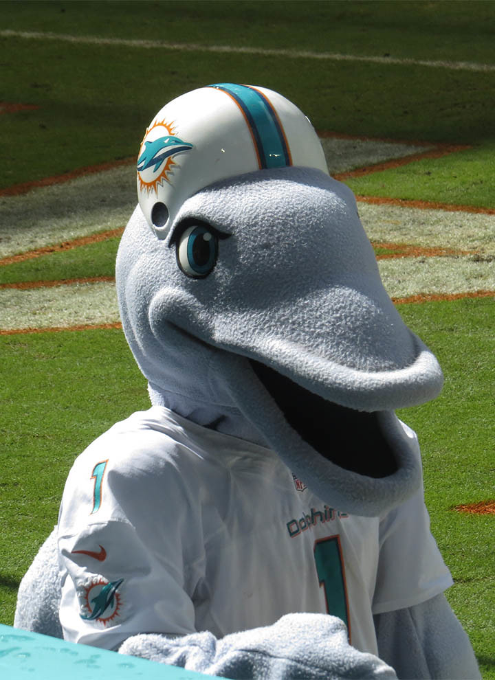 T D DOLPHIN MASCOT Miami Dolphins Mascot T D The