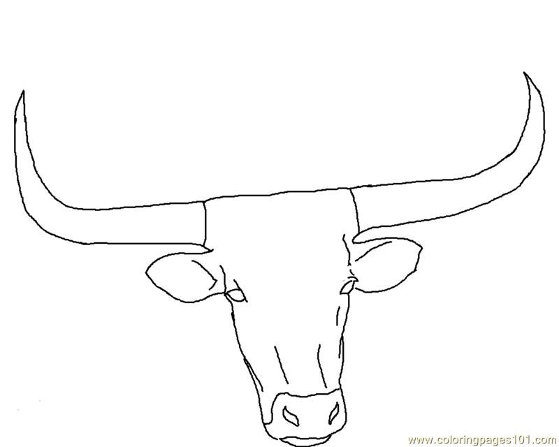 Texas Longhorn Coloring Pages Coloring Home