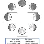 This Is A Worksheet To Show The Phases Of The Moon Moon
