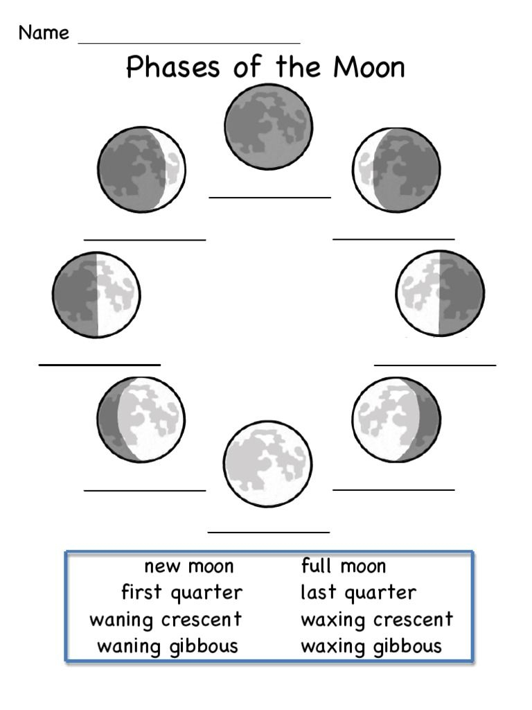 This Is A Worksheet To Show The Phases Of The Moon Moon 