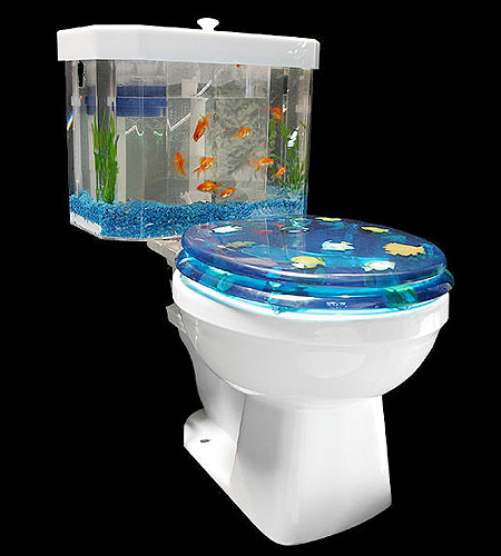 Toilet Aquarium