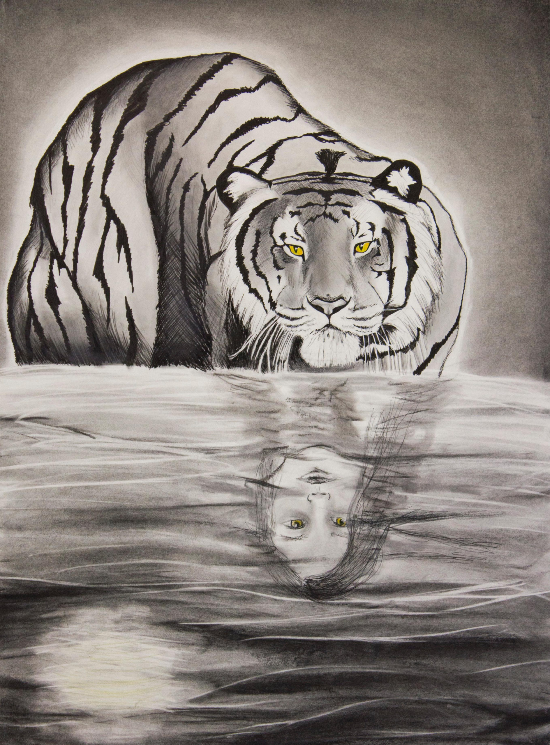 Visual Language Drawing School Of Art Montana State 