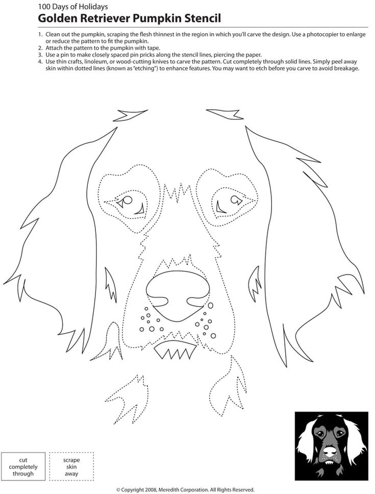 22 Downloadable Dog Breed Pumpkin Stencils Dog Stencil 
