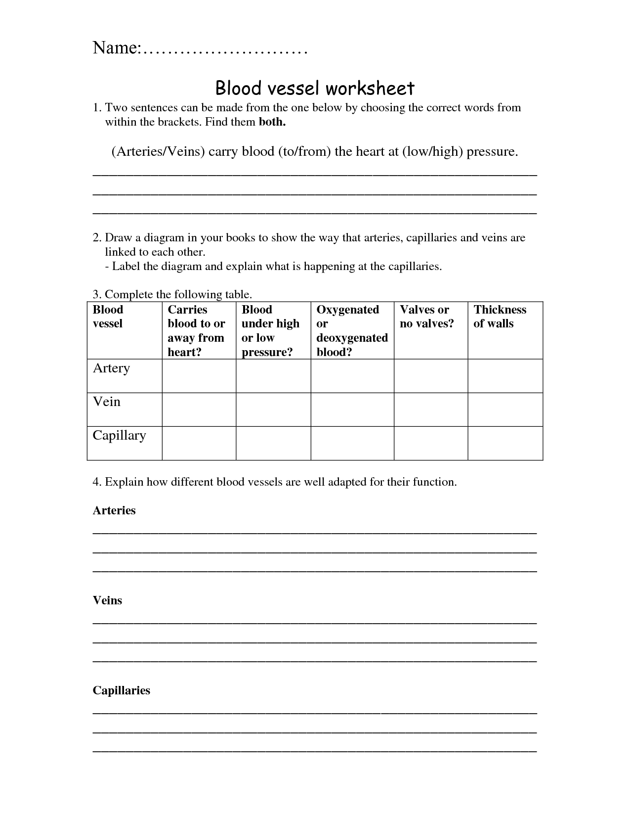 9 Best Images Of Blood Vessels Worksheet Blood Pressure 