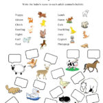 Baby Animals Worksheet Free ESL Printable Worksheets