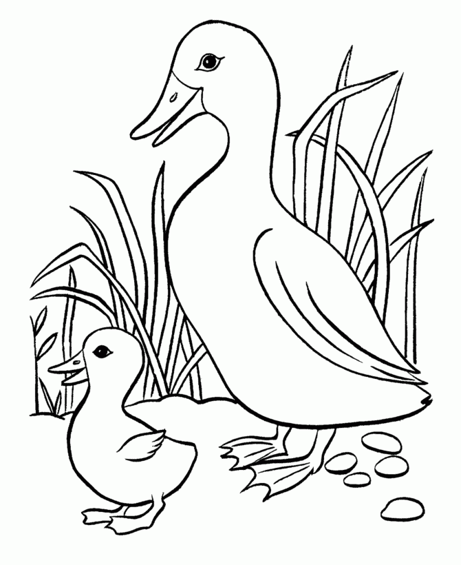 Crafts Actvities And Worksheets For Preschool Toddler And 