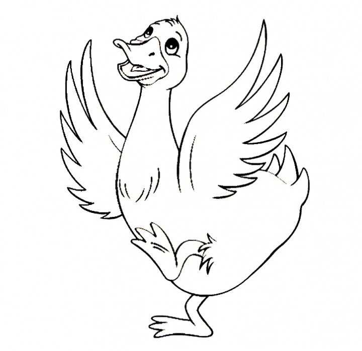 Duck Coloring Pages Best Coloring Pages For Kids