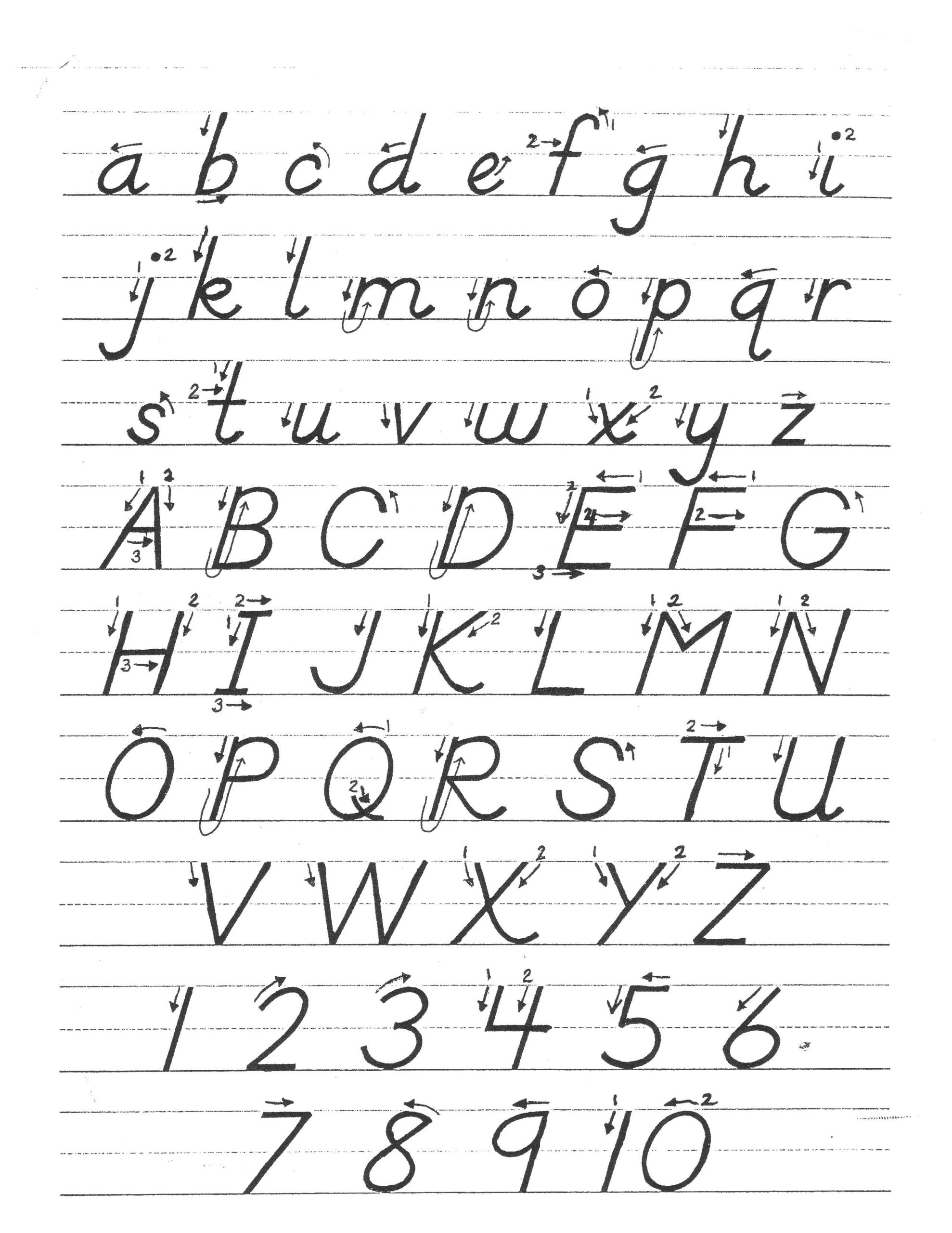 Free Printable D Nealian Cursive Handwriting Worksheets 