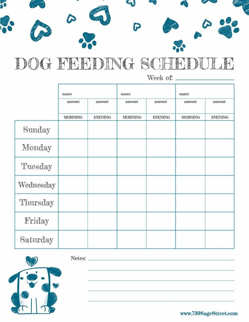 Free Printable Feeding Schedule To Track Your Dog s Food
