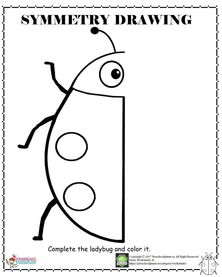 Ladybug Symmetry Worksheet Kindergarten Drawing 