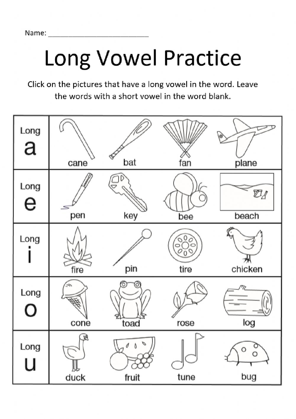 Long Vowel Practice Exercise