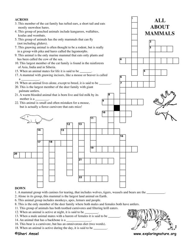 Mammals Crossword Puzzle Adults 