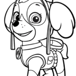 Paw Patrol Skye Coloring Page Free Printable Coloring Pages