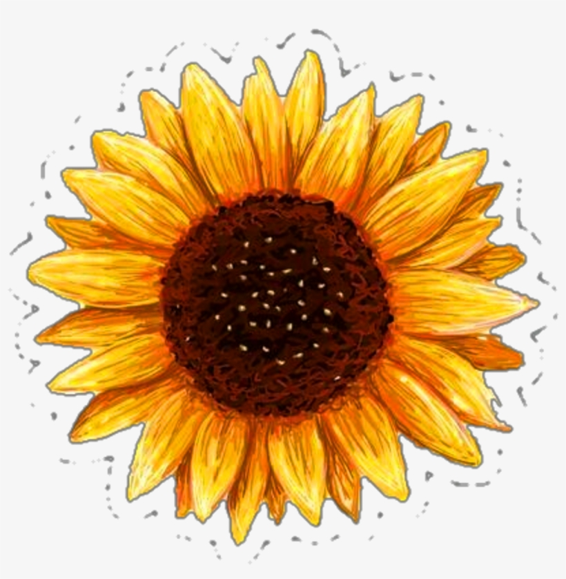 Printable Sunflower Sticker 1024x1122 PNG Download PNGkit
