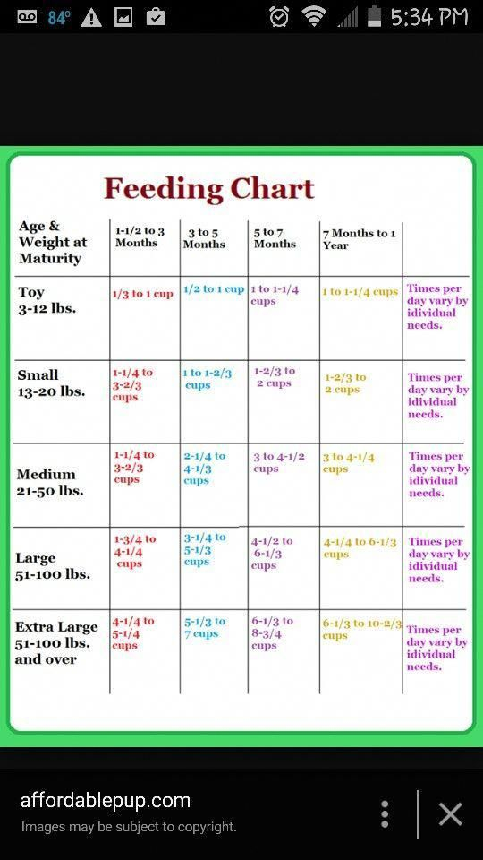 Puppy Feeding Chart puppytraining puppytrainingcrate 