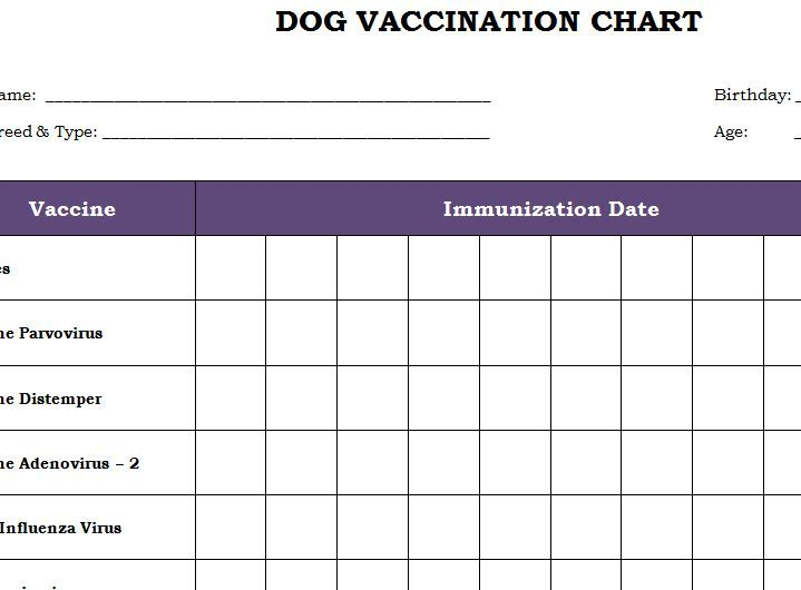Puppy Vaccination Chart Printable That Are Gutsy Roy Blog