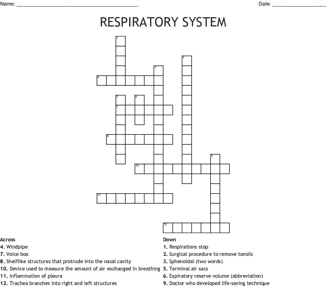 Respiratory System Crossword Puzzle Printable Printable 