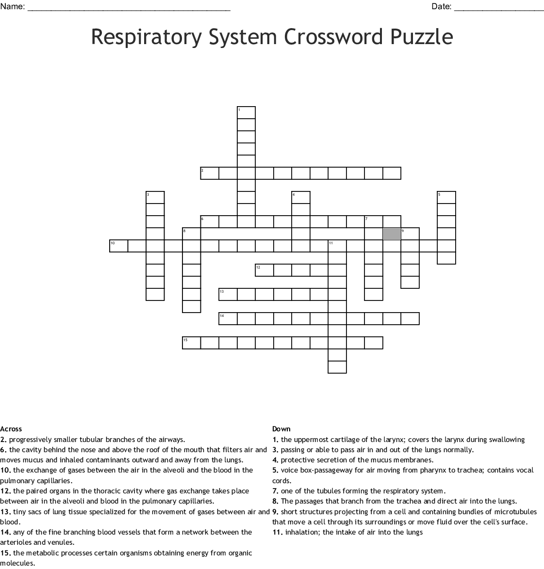 Respiratory System Crossword Puzzle Printable Printable 