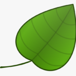 Simple Green Leaf Template HD Png Download Transparent