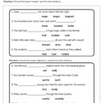 Use Irregular Verbs Worksheet Have Fun Teaching