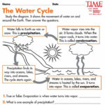 Water Cycle For Kindergarten Water Cycle Worksheet