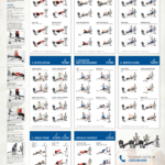Weider Ultimate Body Works Exercise Chart Printable