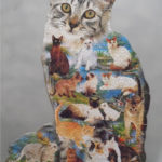 1000 Cat Shaped Jigsaw Wiki