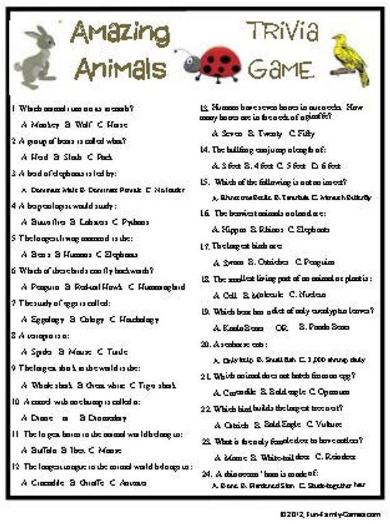 Amazing Animals Trivia Game Etsy Trivia Questions For 