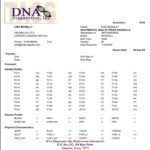 AngelGirls Big Mak Daddy S Father S DNA Testing Results N